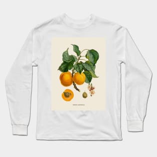 Apricot Antique Botanical Illustration Long Sleeve T-Shirt